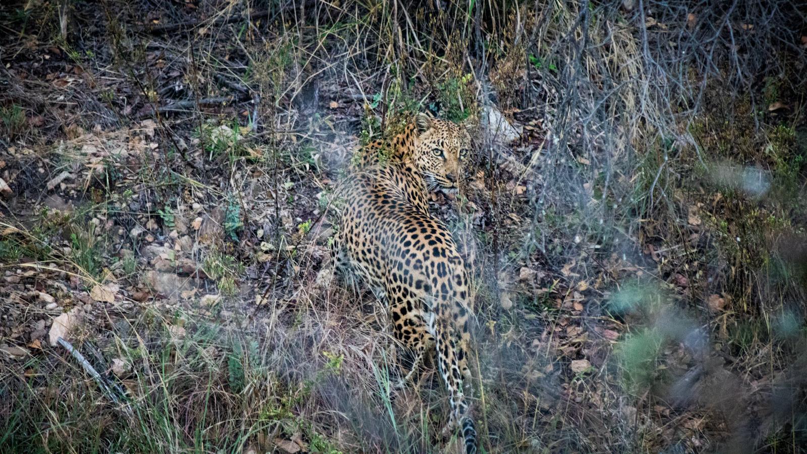 Kruger National Park